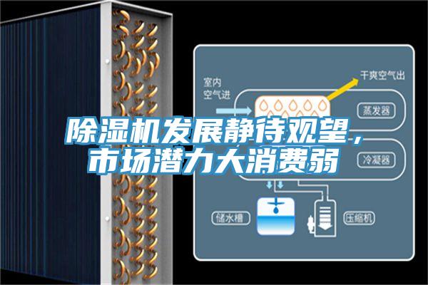 除濕機發(fā)展靜待觀(guān)望，市場(chǎng)潛力大消費弱