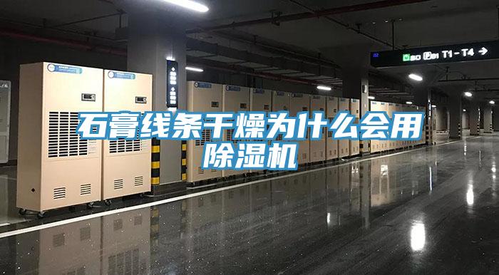 石膏線(xiàn)條干燥為什么會(huì )用除濕機