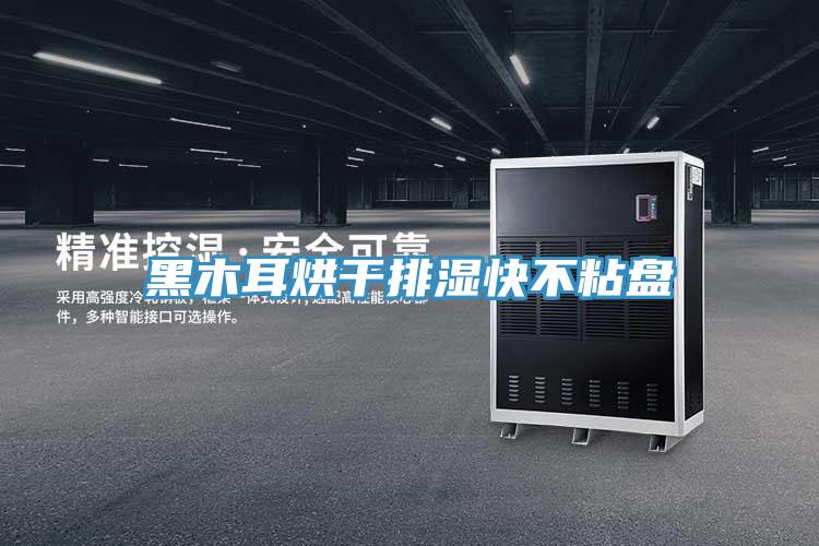 黑木耳烘干排濕快不粘盤(pán)