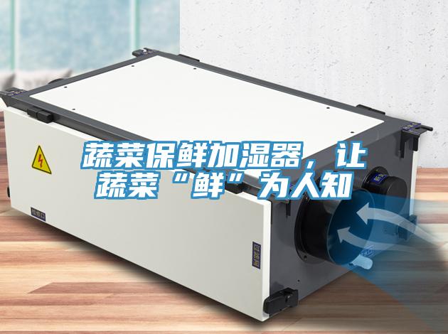 蔬菜保鮮加濕器，讓蔬菜“鮮”為人知