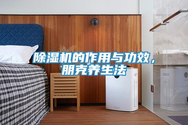 除濕機的作用與功效，朋克養生法