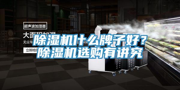 除濕機什么牌子好？除濕機選購有講究