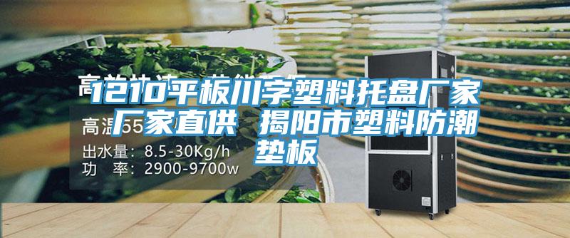 1210平板川字塑料托盤(pán)廠(chǎng)家 廠(chǎng)家直供 揭陽(yáng)市塑料防潮墊板