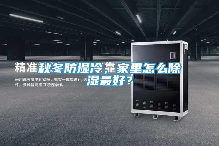 秋冬防濕冷，家里怎么除濕最好？