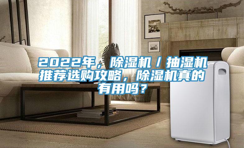 2022年，除濕機／抽濕機推薦選購攻略，除濕機真的有用嗎？