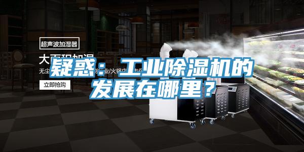 疑惑：工業(yè)除濕機的發(fā)展在哪里？
