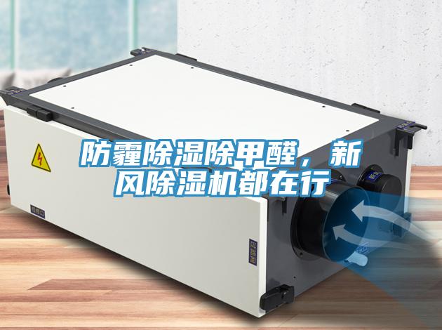 防霾除濕除甲醛，新風(fēng)除濕機都在行