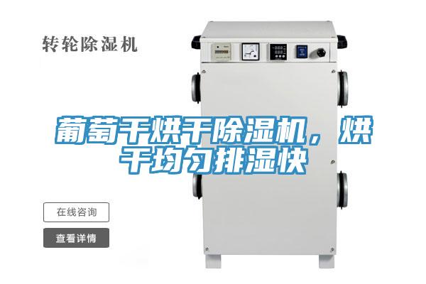 葡萄干烘干除濕機，烘干均勻排濕快