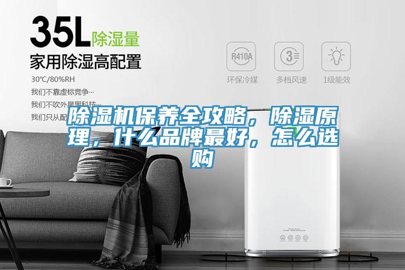 除濕機保養全攻略，除濕原理，什么品牌最好，怎么選購