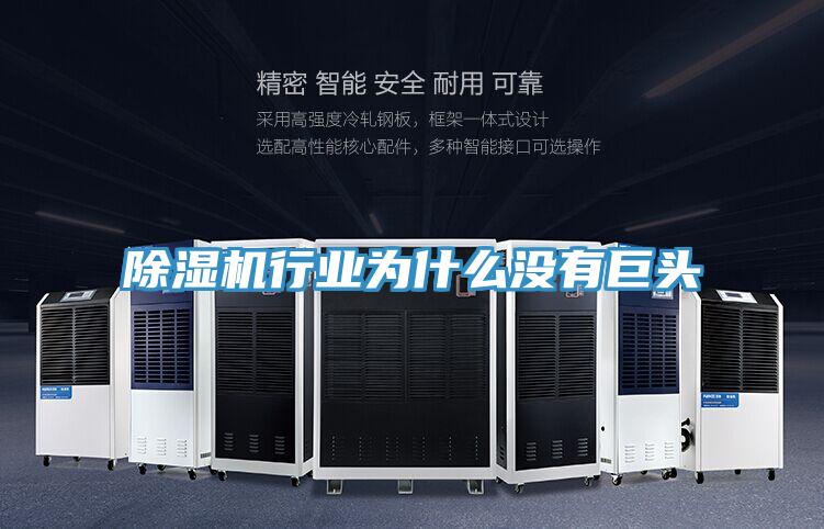 除濕機行業(yè)為什么沒(méi)有巨頭