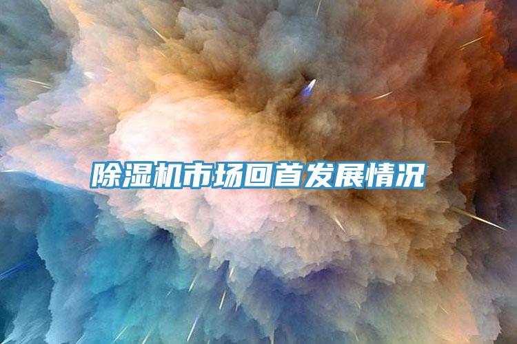 除濕機市場(chǎng)回首發(fā)展情況