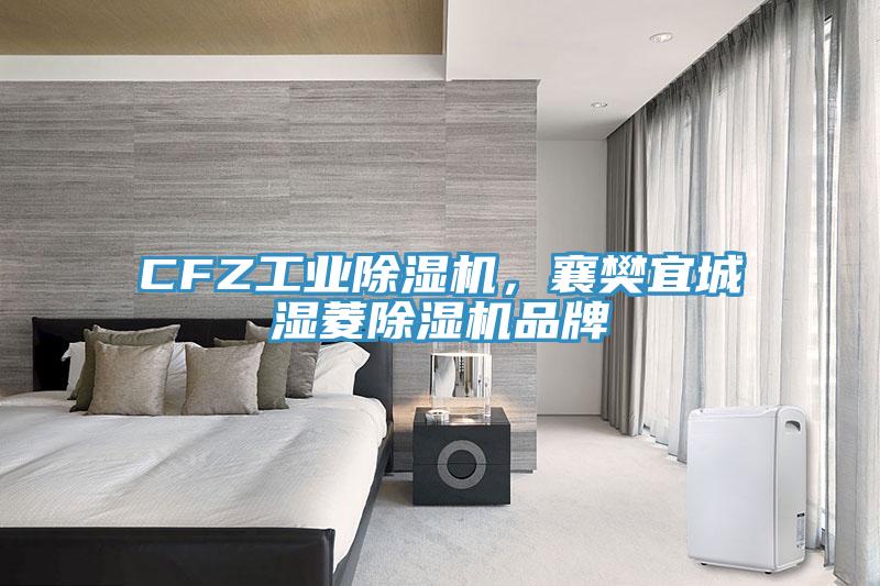 CFZ工業(yè)除濕機，襄樊宜城濕菱除濕機品牌