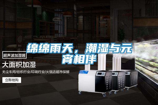 綿綿雨天，潮濕與元宵相伴