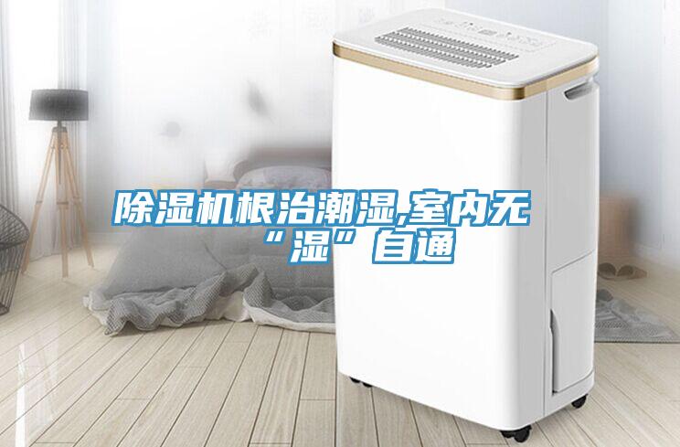 除濕機根治潮濕,室內無(wú)“濕”自通