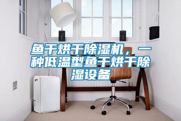 魚(yú)干烘干除濕機，一種低溫型魚(yú)干烘干除濕設備