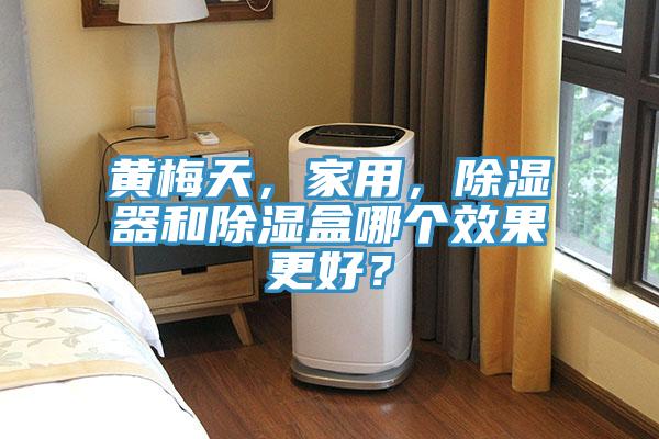 黃梅天，家用，除濕器和除濕盒哪個(gè)效果更好？