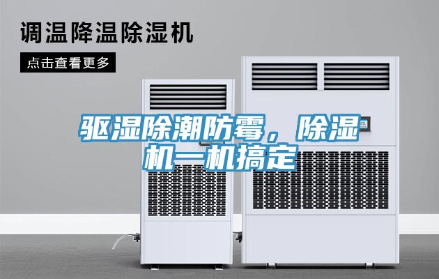 驅濕除潮防霉，除濕機一機搞定