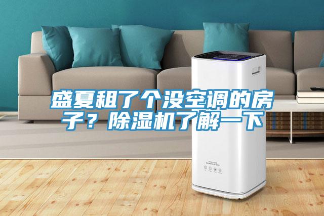 盛夏租了個(gè)沒(méi)空調的房子？除濕機了解一下