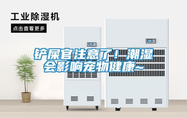 鏟屎官注意了！潮濕會(huì )影響寵物健康~