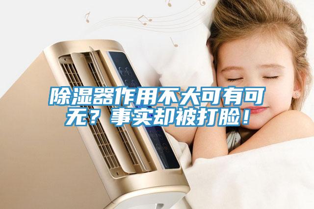 除濕器作用不大可有可無(wú)？事實(shí)卻被打臉！