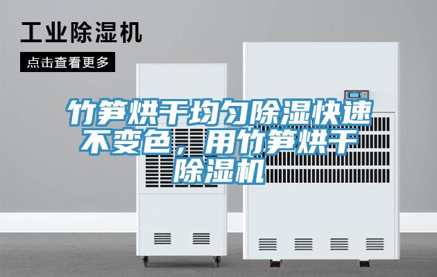 竹筍烘干均勻除濕快速不變色，用竹筍烘干除濕機