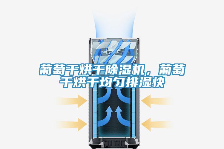 葡萄干烘干除濕機，葡萄干烘干均勻排濕快