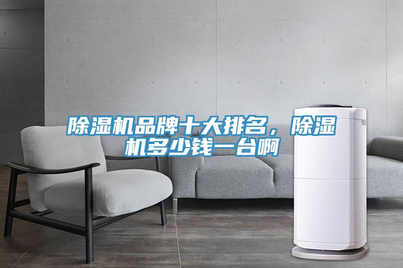 除濕機品牌十大排名，除濕機多少錢(qián)一臺啊