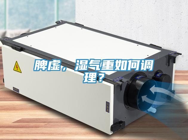 脾虛，濕氣重如何調理？