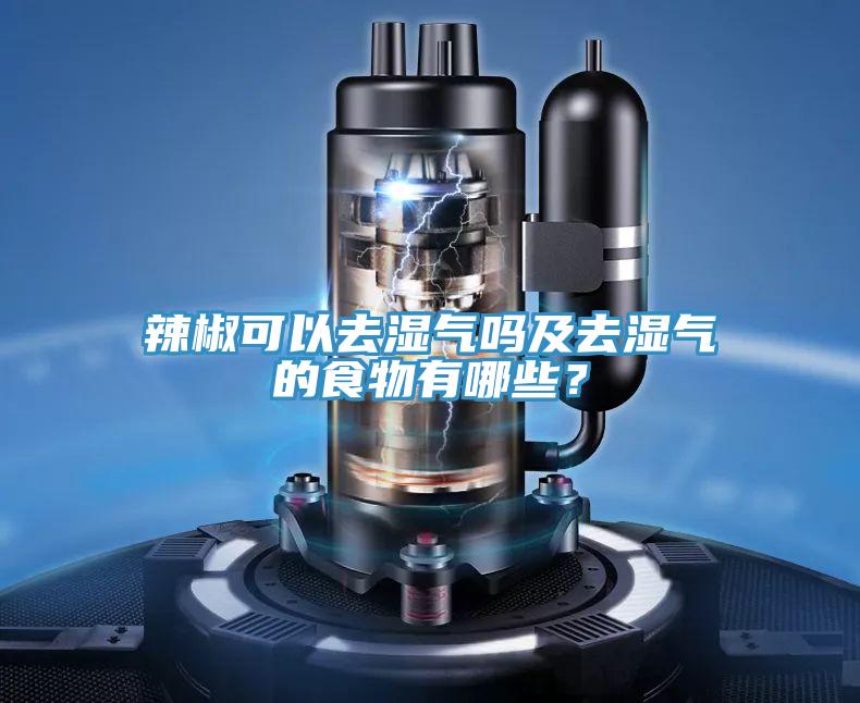 辣椒可以去濕氣嗎及去濕氣的食物有哪些？