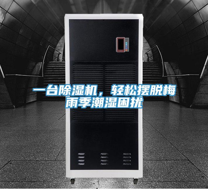 一臺除濕機，輕松擺脫梅雨季潮濕困擾