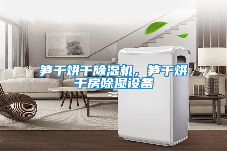 筍干烘干除濕機，筍干烘干房除濕設備