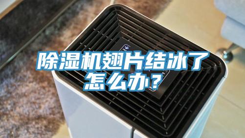 除濕機翅片結冰了怎么辦？