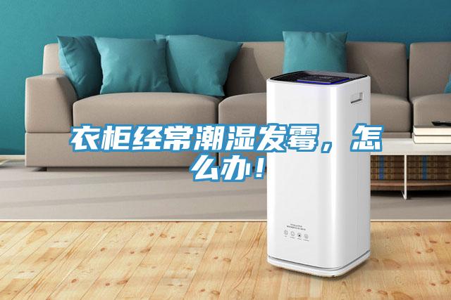 衣柜經(jīng)常潮濕發(fā)霉，怎么辦！