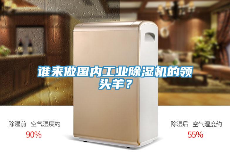 誰(shuí)來(lái)做國內工業(yè)除濕機的領(lǐng)頭羊？