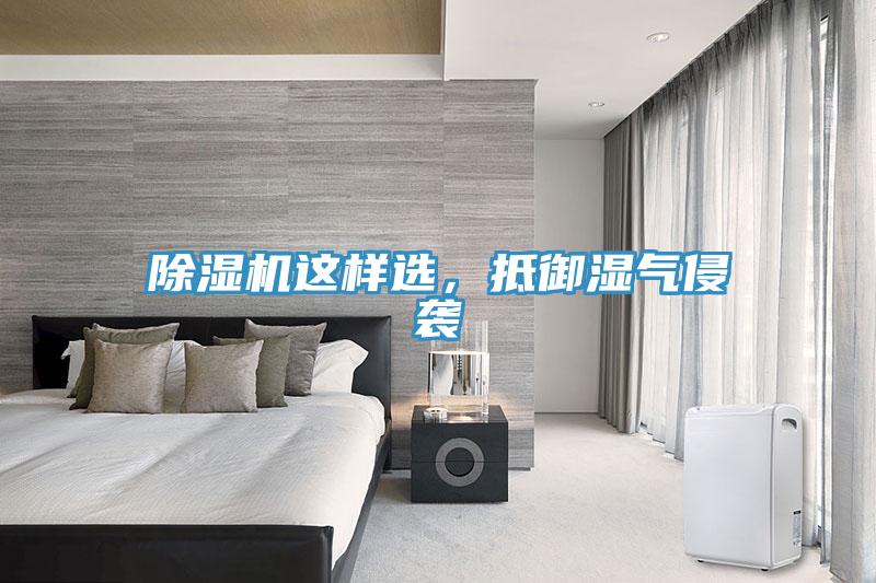 除濕機這樣選，抵御濕氣侵襲