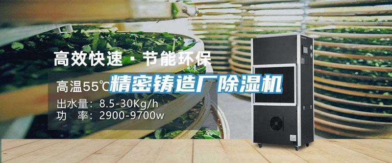 精密鑄造廠(chǎng)除濕機