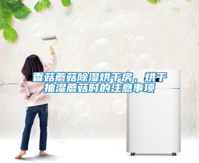 香菇蘑菇除濕烘干房，烘干抽濕蘑菇時(shí)的注意事項