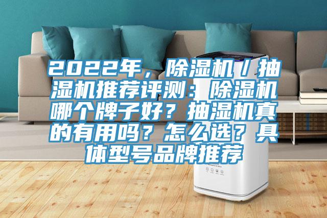 2022年，除濕機／抽濕機推薦評測：除濕機哪個(gè)牌子好？抽濕機真的有用嗎？怎么選？具體型號品牌推薦