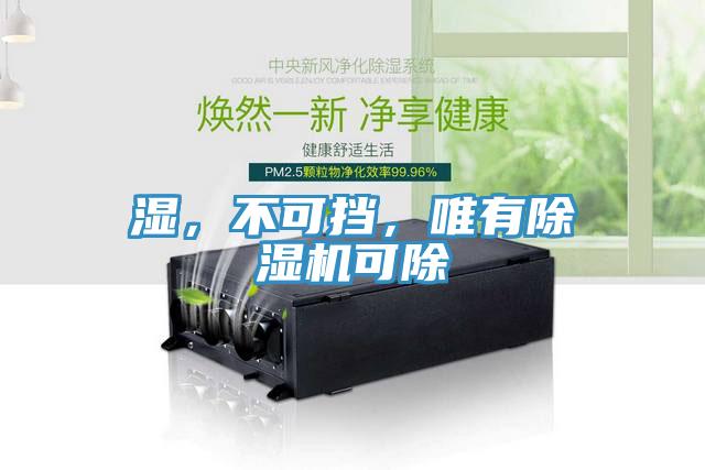濕，不可擋，唯有除濕機可除