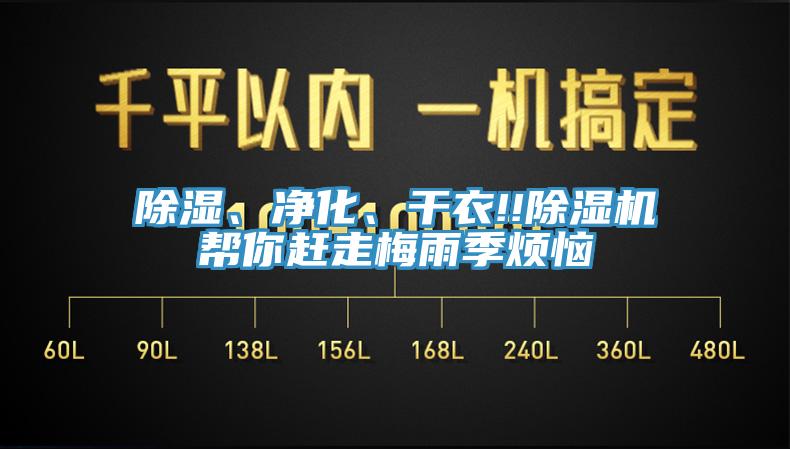 除濕、凈化、干衣!!除濕機幫你趕走梅雨季煩惱