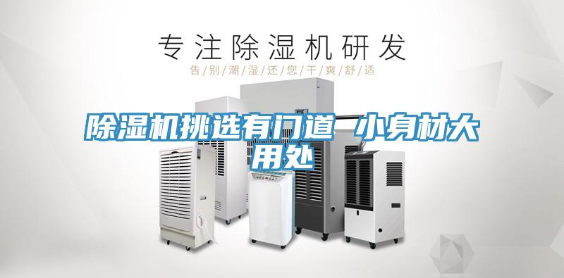 除濕機挑選有門(mén)道 小身材大用處