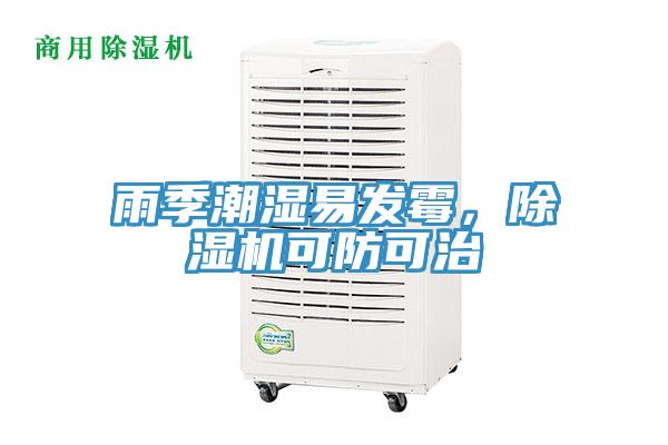 雨季潮濕易發(fā)霉，除濕機可防可治