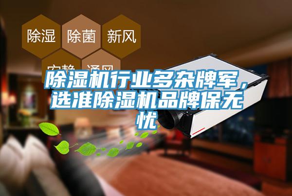 除濕機行業(yè)多雜牌軍，選準除濕機品牌保無(wú)憂(yōu)