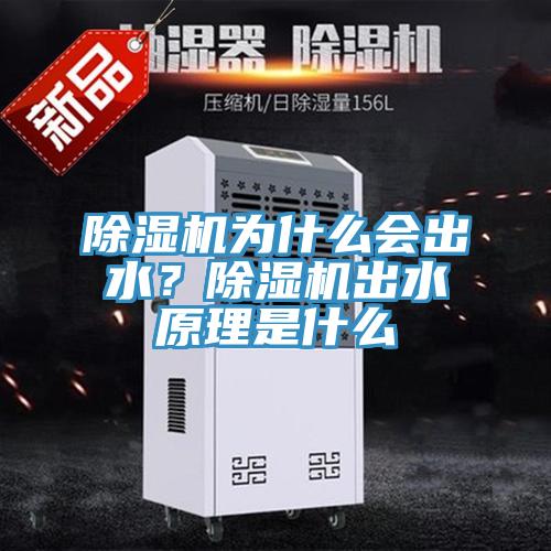 除濕機為什么會(huì )出水？除濕機出水原理是什么