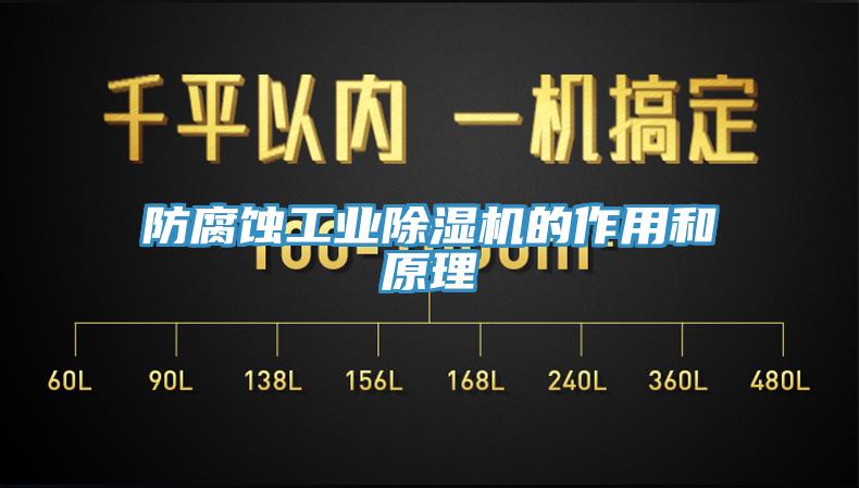 防腐蝕工業(yè)除濕機的作用和原理