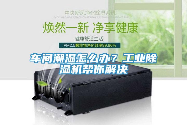 車(chē)間潮濕怎么辦？工業(yè)除濕機幫你解決