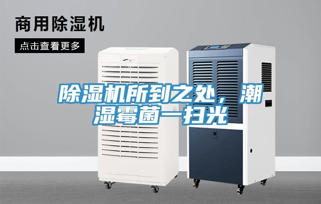 除濕機所到之處，潮濕霉菌一掃光