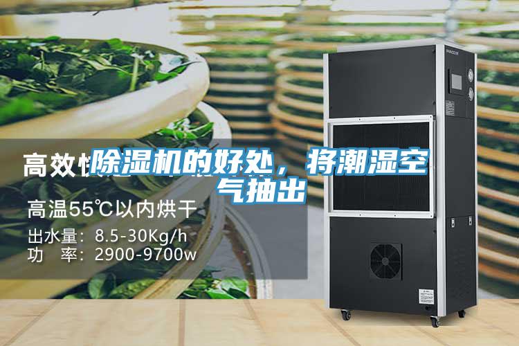 除濕機的好處，將潮濕空氣抽出