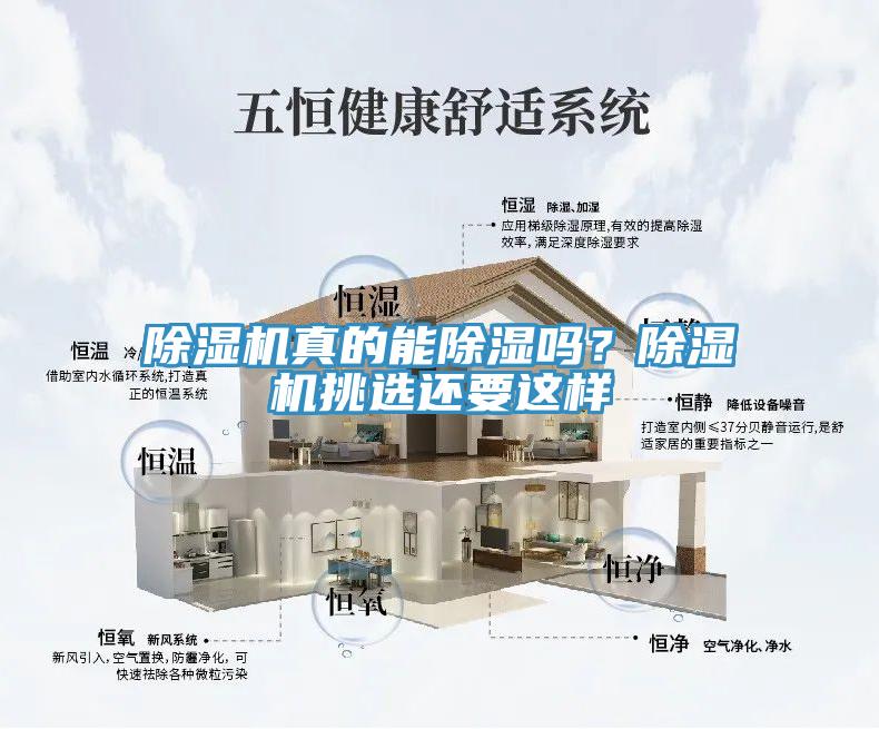 除濕機真的能除濕嗎？除濕機挑選還要這樣
