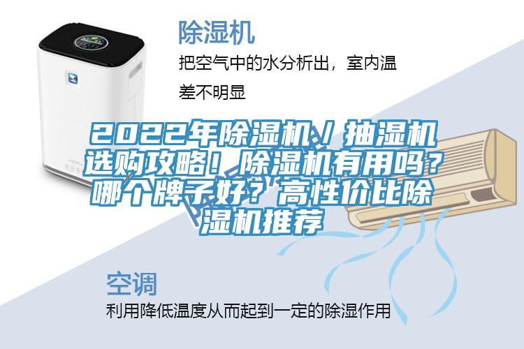 2022年除濕機／抽濕機選購攻略！除濕機有用嗎？哪個(gè)牌子好？高性?xún)r(jià)比除濕機推薦